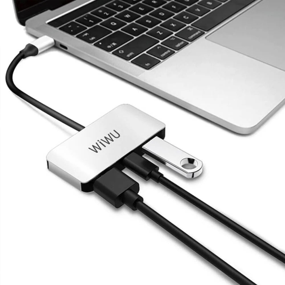 Wiwu 3 in 1 (C2H) Type-C Hub
